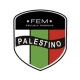 palestino-fem